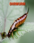 Image for Ohrwurm : Erstaunliche Fakten &amp; Bilder