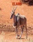 Image for Eland : Amazing Facts &amp; Pictures