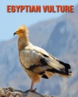 Image for Egyptian Vulture : Amazing Photos &amp; Fun Facts Book About Egyptian Vulture For Kids
