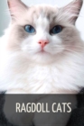 Image for Ragdoll Cats