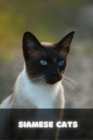 Image for Siamese Cats : A Complete Guide