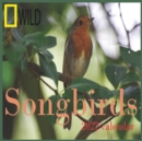 Image for Songbirds calendar 2022