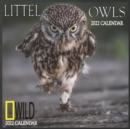 Image for LITTEL OWLS calendar 2022