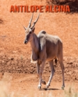 Image for Antilope alcina : Fantastici fatti e immagini