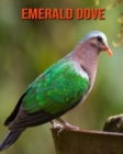 Image for Emerald Dove