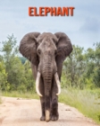 Image for Elephant : Amazing Facts &amp; Pictures