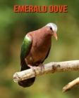 Image for Emerald Dove