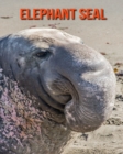 Image for Elephant Seal : Amazing Photos &amp; Fun Facts Book About Elephant Seal For Kids