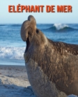 Image for Elephant de Mer