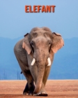 Image for Elefant