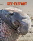 Image for See-Elefant