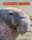 Image for Elefante marino