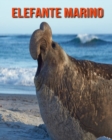 Image for Elefante marino
