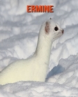 Image for Ermine : Beautiful Pictures &amp; Interesting Facts Children Book About Ermine