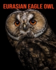 Image for Eurasian Eagle Owl