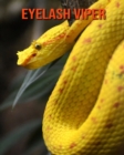 Image for Eyelash Viper : Amazing Facts &amp; Pictures