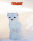 Image for Ermine : Amazing Photos &amp; Fun Facts Book About Ermine For Kids