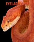Image for Eyelash Viper : Amazing Photos &amp; Fun Facts Book About Eyelash Viper For Kids