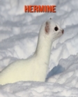Image for Hermine