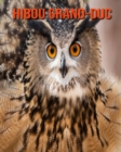 Image for Hibou Grand-Duc