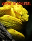 Image for Vipere de Schlegel : Recueil pour Enfants de Belles Images &amp; d&#39;Informations Interessantes Concernant les Vipere de Schlegel