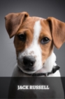 Image for Jack Russell : The Complete Breed Guide
