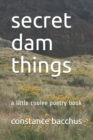 Image for secret dam things : a little coulee poetry book