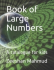 Image for Book of Large Numbers : A catalogue for kids