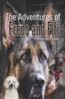 Image for The Adventures of Fredo and Fifi