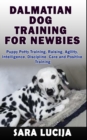 Image for Dalmatian Dog Training for Newbies