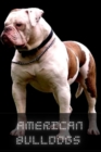 Image for American Bulldog