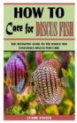 Image for How to Care for Discus Fish