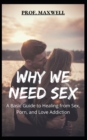 Image for Why We Need Sex : A Basic Guide to Healing from Sex, Porn, and Love Addiction