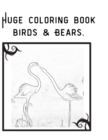 Image for Huge coloring book birds &amp; Bears.