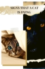 Image for Signs That a Cat Is Dying