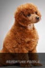Image for Miniature Poodle