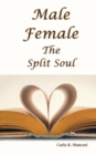 Image for Male Female : The Split Soul