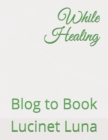 Image for While Healing : Blog to Book