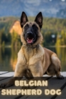 Image for Belgian Shepherd Dog