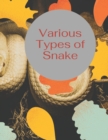 Image for Various Types Of Snake