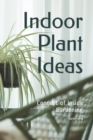 Image for Indoor Plant Ideas