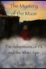 Image for The Mystery of the Maze