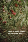 Image for Cultivo de arboles frutales : Una guia para el jardin
