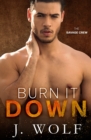 Image for Burn it Down