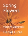 Image for Spring Flowers : Volume 4 Magnificent