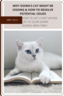 Image for WHY OSHRA&#39;S CAT MIGHT BE HISSING &amp; HOW t&amp;#1086; RESOLVE POTENTIAL ISSUES : HOW t&amp;#1086; GET &amp;#1072; FAST EATING CAT t&amp;#1086; SLOW DOWN DURING MEALTIMES