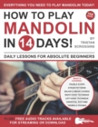Image for How to Play Mandolin in 14 Days : Daily Lessons for Absolute Beginners