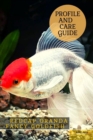 Image for Redcap Oranda Fancy Goldfish : Profile ?nd Care Guide