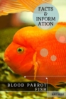 Image for Blood Parrot Fish : Facts &amp; Information