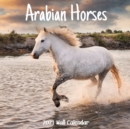 Image for Arabian Horses 2021 Wall Calendar